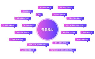 破譯運(yùn)動(dòng)健康管理品牌GetWell的基因密碼 品牌管理的核心之道